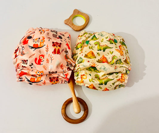 DREAM CLOTH DIAPER-10% Discount ON 2 (assorted prints only)