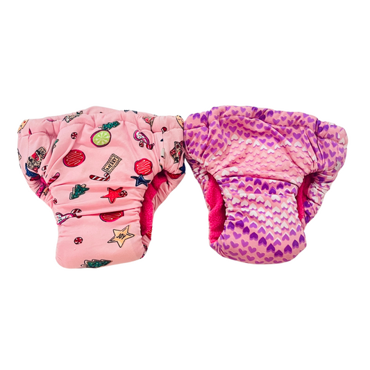 Pack of 2 Absorbent Underwear