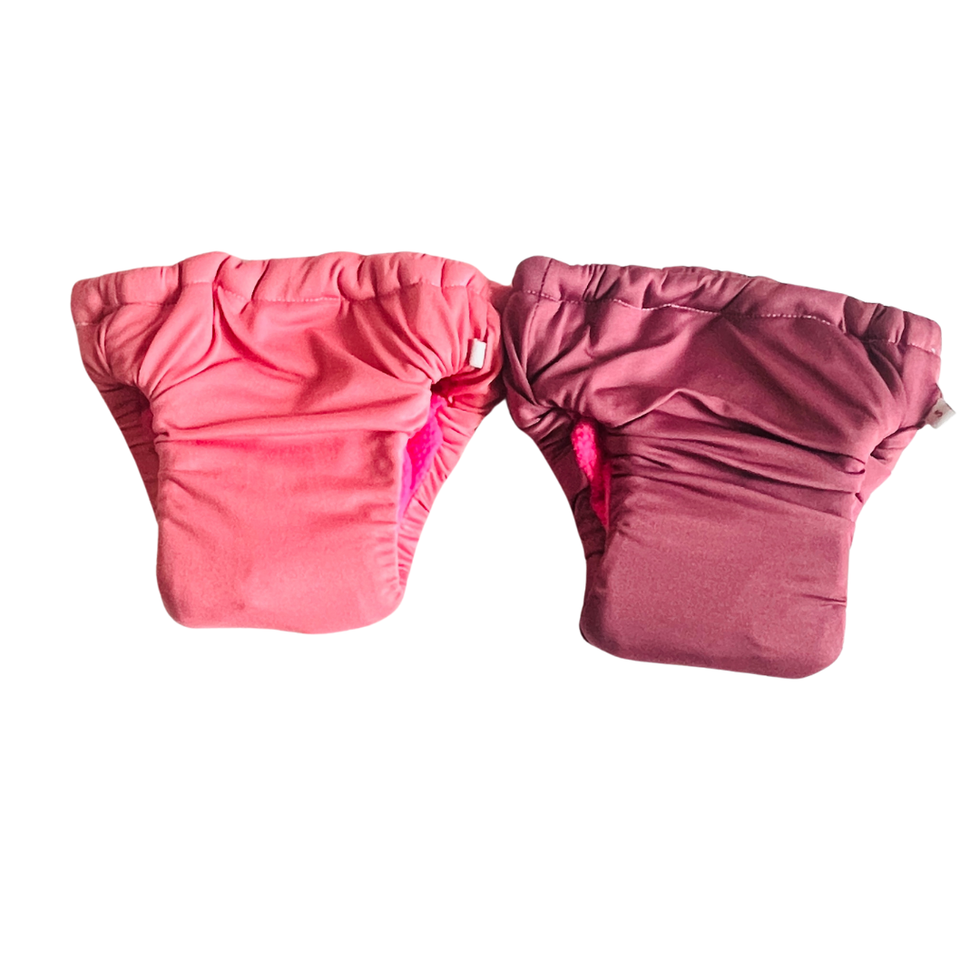 Pack of 2 Absorbent Underwear