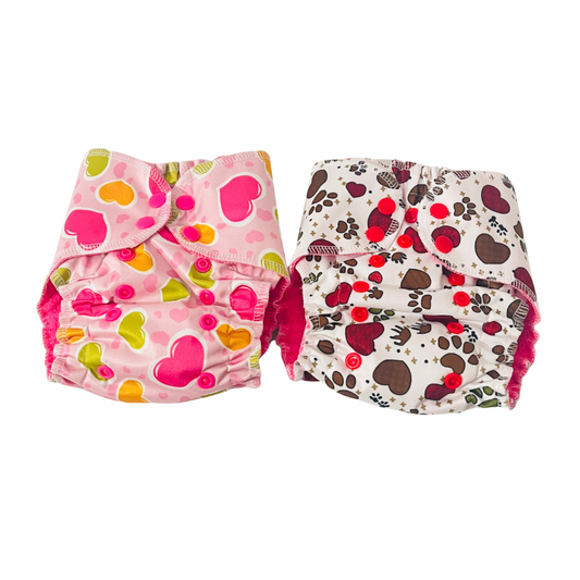 DREAM CLOTH  DIAPER -Pack of 2