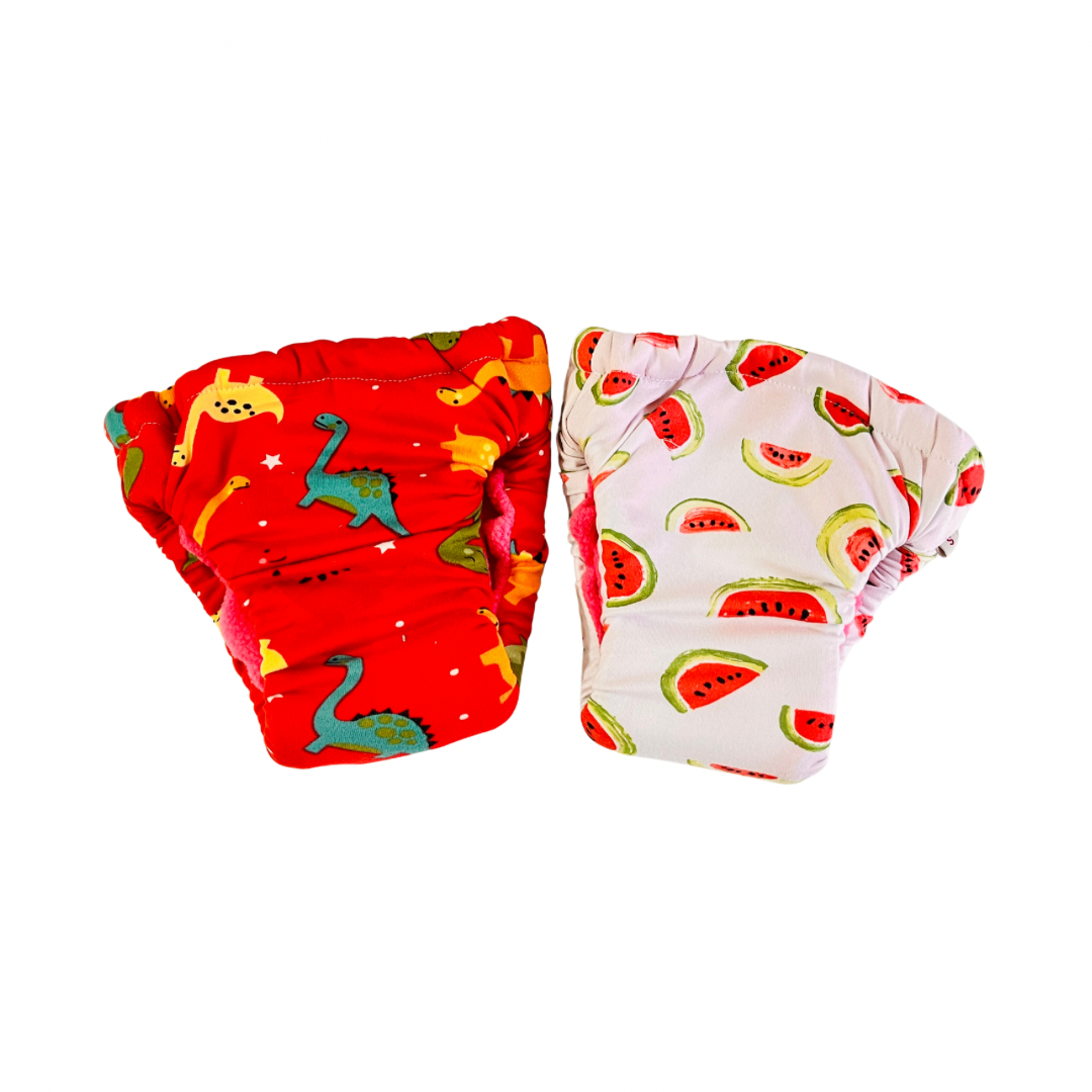 Pack of 2 Absorbent Underwear